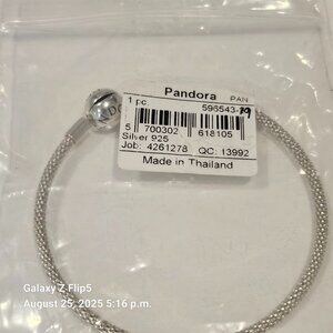 Authentic Pandora RETIRED Silver Smooth Clasp Mesh Bracelet 7.5" 596543-19 NEW